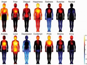 thermal emotions