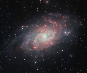 M33 - Traingulum Galaxy  from  hubblesite.org